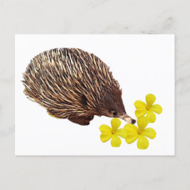 Cartão Postal Cartão-postal Echidna e Frangipani