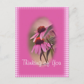Cartão Postal Cartão-postal Echinacea & Seersucker- personalize