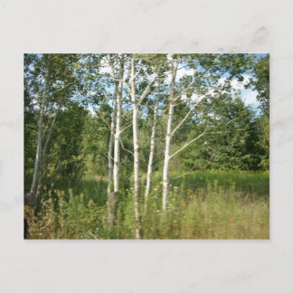 Cartão Postal Cartão-postal embutido