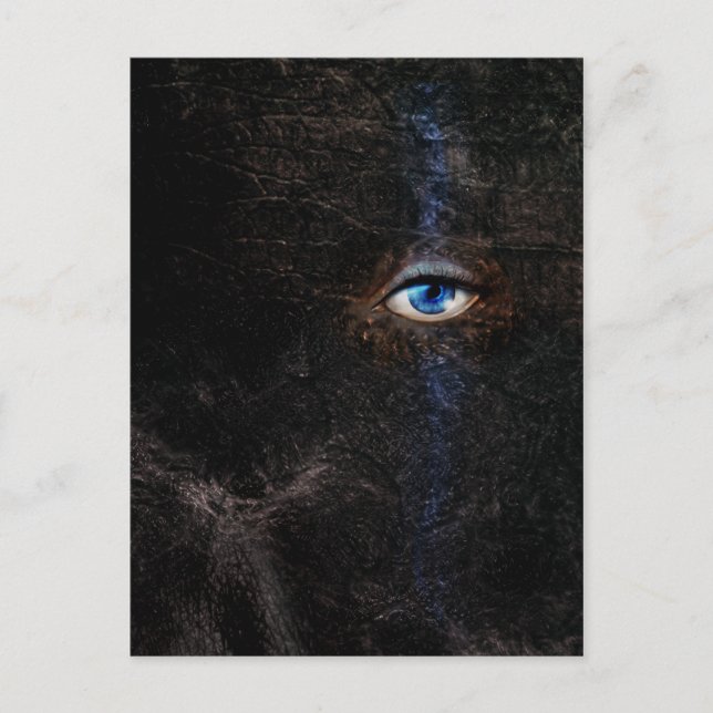 Cartão Postal Cartão-postal escuro (Frente)