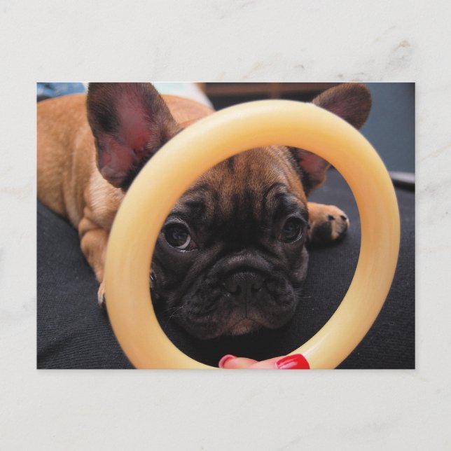 Cartão Postal Cartão-postal "Eu Te Vejo" (Frente)