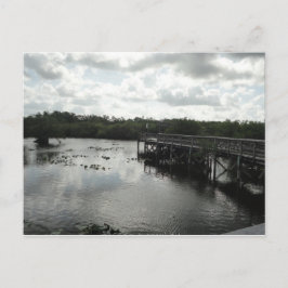 Cartão Postal Cartão-postal Everglades