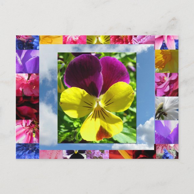 Cartão Postal Cartão-postal Felicidade Flores (Frente)