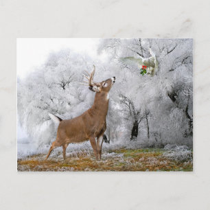 Cartão Postal Cartão-postal "Feliz Natal"