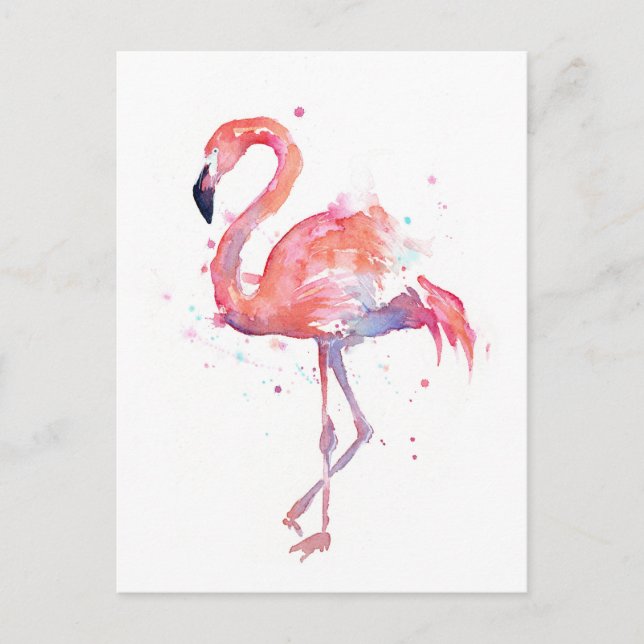 Cartão Postal Cartão-postal Flamingo de Aquarela Rosa (Frente)