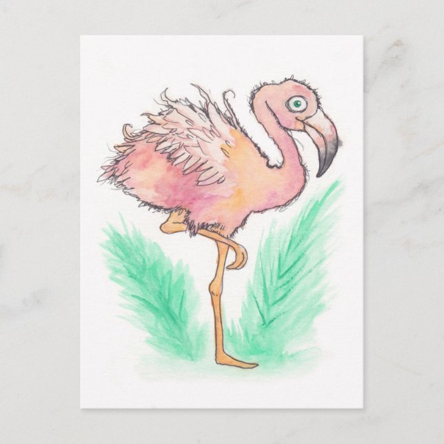 Cartão Postal Cartão-postal Flamingo Frazzled (Frente)