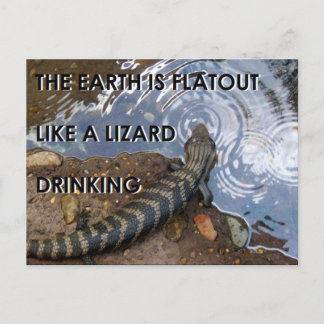 Cartão Postal Cartão-postal Flat Lizard - Memória da Terra Plana