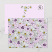 Cartão-postal Floral Bela, Rosa e Branco