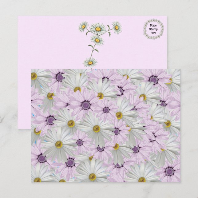 Cartão Postal Cartão-postal Floral Bela, Rosa e Branco (Frente/Verso)