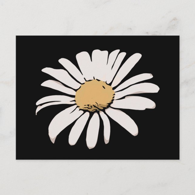 Cartão Postal Cartão-postal Floral Black Daisy (Frente)