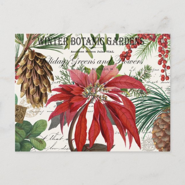 Cartão Postal Cartão-postal floral do jardim de inverno tradicio (Frente)