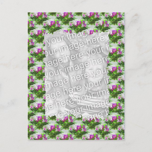 Cartão Postal Cartão-postal Floral para Violetas bonito (Frente)