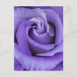 Cartão Postal Cartão-postal Floral Rosa púrpura