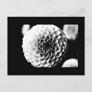 Cartão Postal Cartão-postal-Flores-51