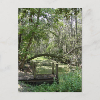 Cartão Postal Cartão-postal - Flórida Antiga