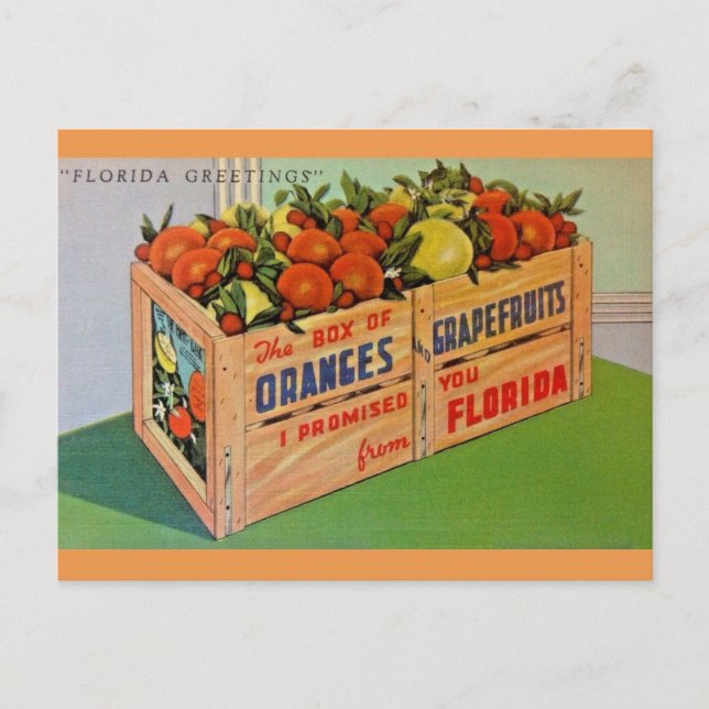 Cartão Postal Cartão-postal Flórida de Laranjas e Toranja (Frente)