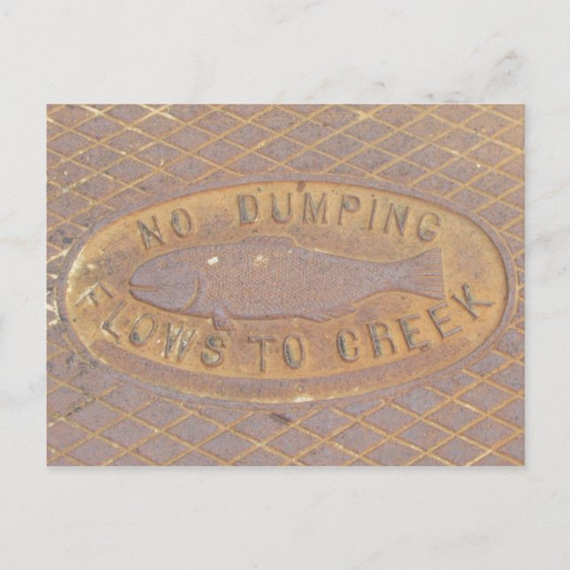 Cartão Postal Cartão-postal - Fluxos para Creek (Frente)