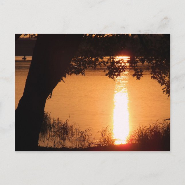 Cartão Postal Cartão-postal fotográfico - personalizado (Frente)