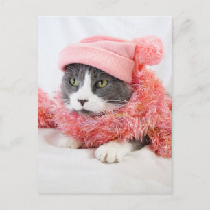Cartão Postal Cartão-postal Gato com Hat Rosa