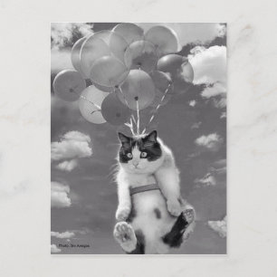 Cartão Postal Cartão-postal: Gato engraçado voando com Balões