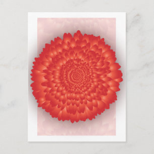 Cartão Postal Cartão-postal "Gerbera" de Belezas do Jardim