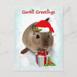 Cartão Postal Cartão-postal Gerbil Saudações