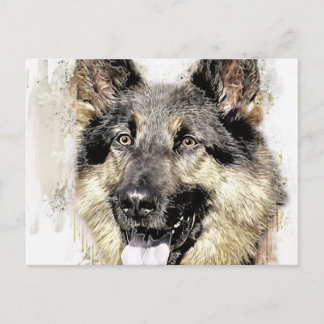 Cartão Postal Cartão-postal german shepherd