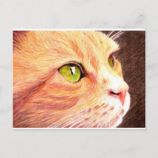 Cartão Postal Cartão-postal Ginger Cat