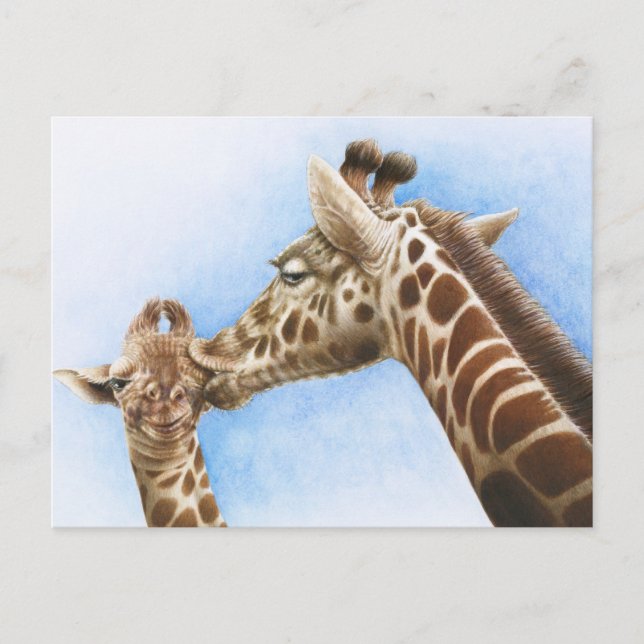 Cartão Postal Cartão-postal Giraffe e Calf (Frente)