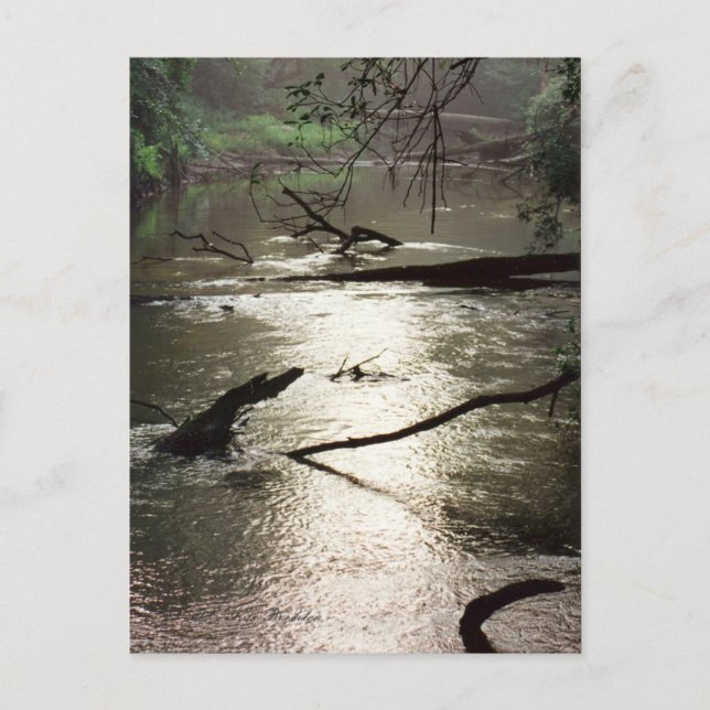 Cartão Postal Cartão-postal Glimmer Tchefuncte (Frente)