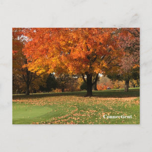 Cartão Postal Cartão-postal "Golf Course In Fall"