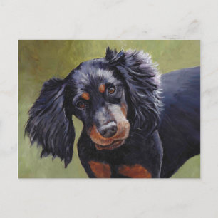 Cartão Postal Cartão-postal Gordon Setter Dog