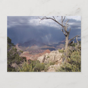 Cartão Postal Cartão-postal "Grand Canyon Views"