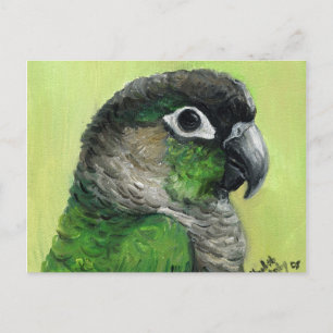 Cartão Postal Cartão-postal "Green Cheked Conure"