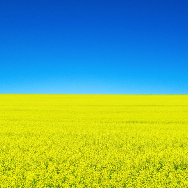 Cartão Postal Cartão-postal Guerra e Paz (Criador carregado)