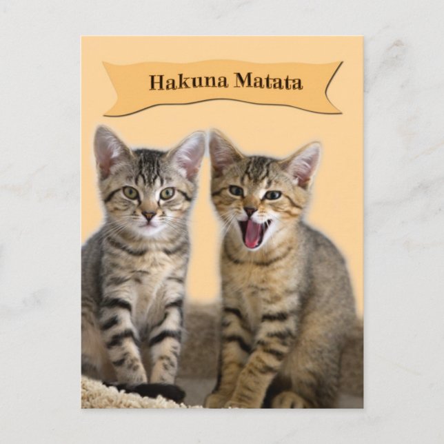 Cartão Postal Cartão-postal Hakuna Matata Kitten (Frente)