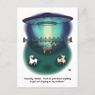 Cartão Postal Cartão-postal Harold