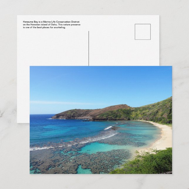 Cartão Postal Cartão-postal havaiano (Frente/Verso)