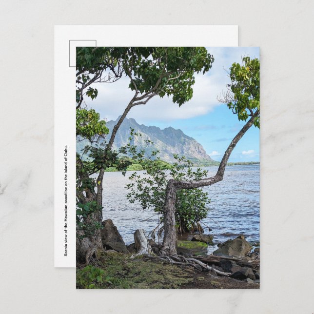 Cartão Postal Cartão-postal havaiano (Frente/Verso)