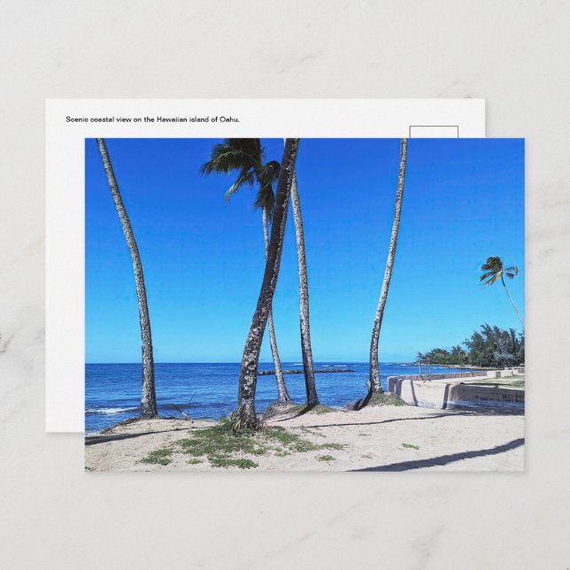 Cartão Postal Cartão-postal havaiano (Frente/Verso)