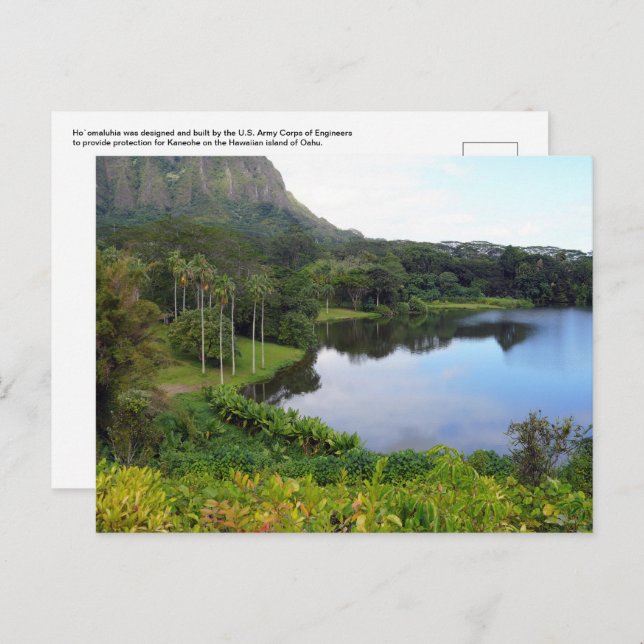 Cartão Postal Cartão-postal havaiano (Frente/Verso)