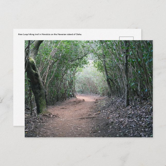 Cartão Postal Cartão-postal havaiano (Frente/Verso)