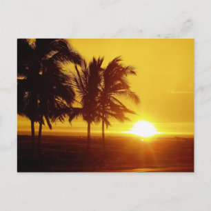 Cartão Postal Cartão-postal Hawaii Sunset
