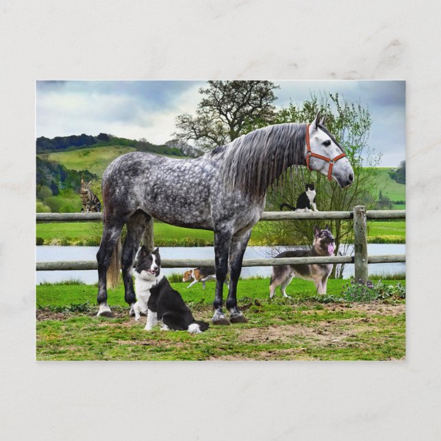 Cartão Postal Cartão-postal "Herói e os Meninos" (Frente)