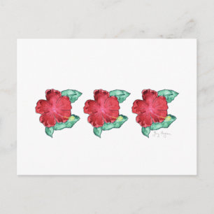 Cartão Postal Cartão-postal Hibiscus