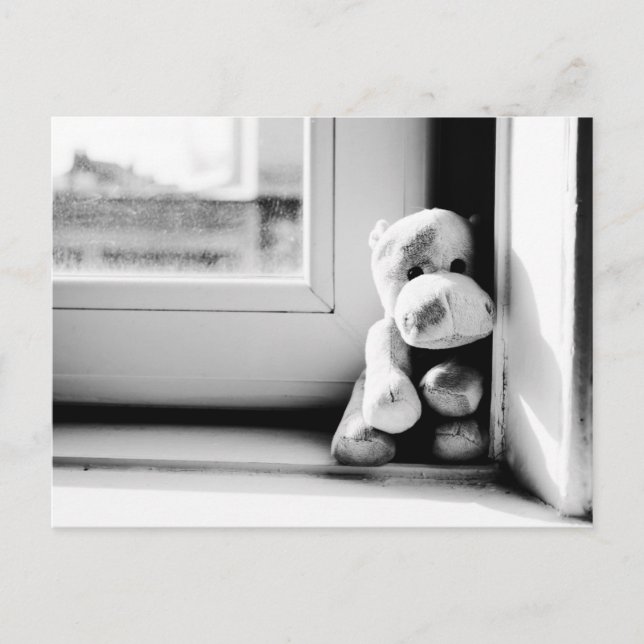 Cartão Postal Cartão-postal Hipo do solitário (Frente)