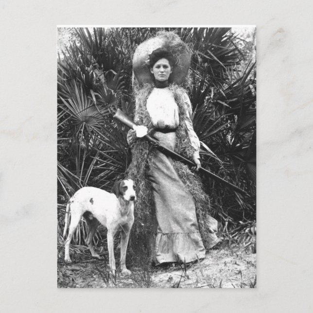 Cartão Postal Cartão-postal histórico da Flórida (Frente)