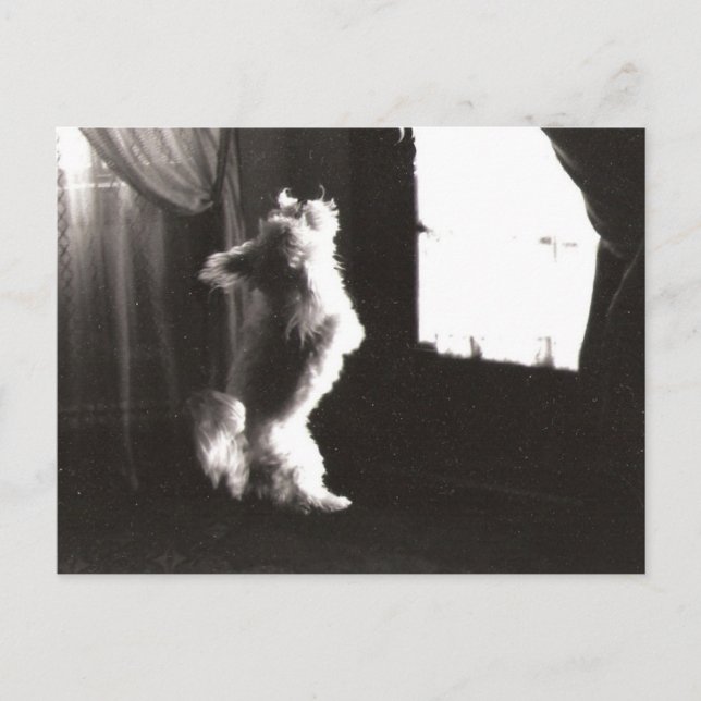 Cartão Postal Cartão-postal Hobbitt (Frente)