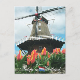 Cartão Postal Cartão-postal Holandês
