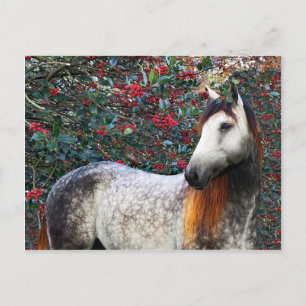 Cartão Postal Cartão-postal "Holly"